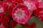 Dcim6869/DSC_1903