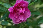 Dcim6869/DSC_1944
