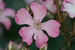 Dcim6869/DSC_1948