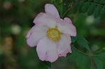 Dcim6869/DSC_1970