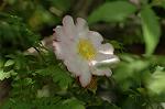 Dcim6869/DSC_1974