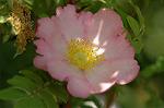 Dcim6869/DSC_1975