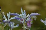Dcim6870/DSC_2056