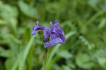Dcim6870/DSC_2080