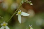 Dcim6870/DSC_2102
