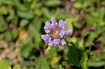 Dcim6872/DSC_2180