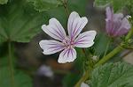 Dcim6872/DSC_2230