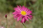 Dcim6872/DSC_2275