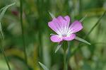 Dcim6873/DSC_2320