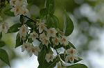 Dcim6873/DSC_2380