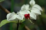 Dcim6873/DSC_2415