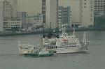 Dcim6875/DSC_2428