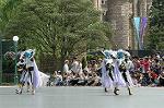 Dcim6878/DSC_2597