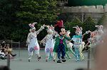 Dcim6878/DSC_2662
