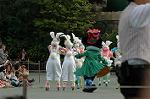 Dcim6878/DSC_2666