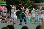 Dcim6878/DSC_2672
