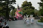 Dcim6879/DSC_2733