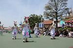 Dcim6881/DSC_8571