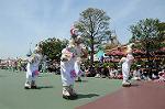 Dcim6881/DSC_8573