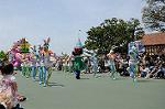 Dcim6881/DSC_8574