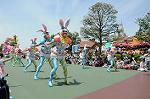 Dcim6881/DSC_8579