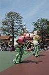 Dcim6881/DSC_8589