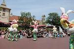 Dcim6881/DSC_8593