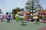 Dcim6881/DSC_8649