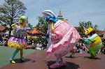 Dcim6881/DSC_8659