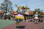 Dcim6881/DSC_8661