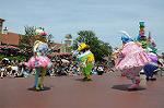 Dcim6882/DSC_8781