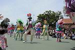 Dcim6882/DSC_8812
