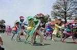 Dcim6882/DSC_8818
