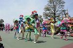 Dcim6882/DSC_8819
