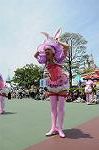 Dcim6882/DSC_8831