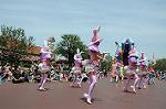 Dcim6882/DSC_8838