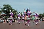 Dcim6882/DSC_8842