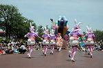 Dcim6882/DSC_8843