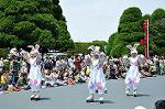 Dcim6882/DSC_8845