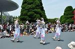 Dcim6882/DSC_8847
