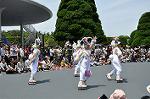 Dcim6882/DSC_8848