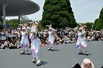 Dcim6882/DSC_8852