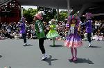 Dcim6883/DSC_8876