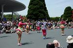 Dcim6883/DSC_8918
