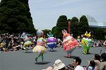 Dcim6883/DSC_8950
