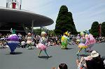 Dcim6883/DSC_8955