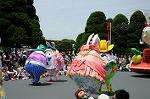 Dcim6883/DSC_8979