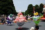 Dcim6883/DSC_8981