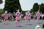 Dcim6884/DSC_9043