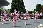 Dcim6884/DSC_9044